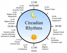 Circadian Rhythms for Dementia & Elderly Care 