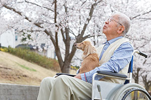 Animal therapy in care homes - a man in a wheelchair in the garden with a dog on his knee